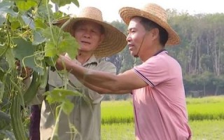 老站长联盟，互联网时代的守望者与传承