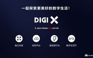 酷豆网，打造个性化数字生活的创新平台