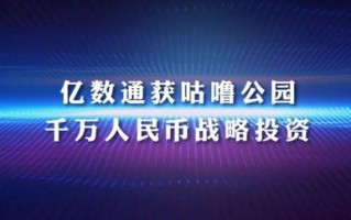 网络广告的类型与策略，探索数字时代的营销新纪元