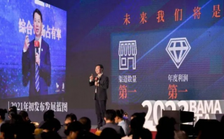 飞马联盟，重塑商业版图，共绘未来新篇章