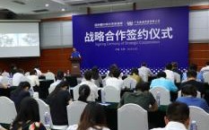 永赢广告联盟，打造全方位精准营销，引领数字时代广告新风尚