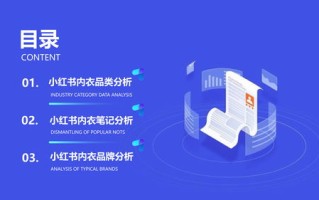 乙科广告联盟，重塑数字营销生态，引领智能投放新纪元