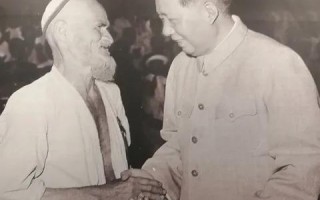 奔腾广告联盟，携手共创数字营销新纪元