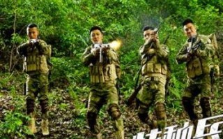 百度联盟广告不显示浏览量和点击量，原因解析与解决方案