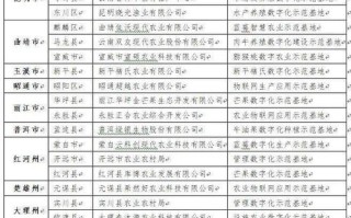 云途广告联盟，开启数字营销新纪元