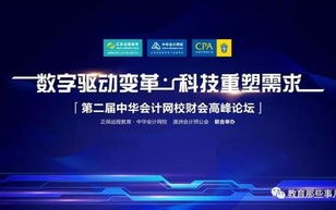 峰盟网络，重塑数字时代的合作与共赢