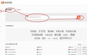 关于淘宝联盟网站备案号，深度解析与操作指南