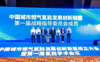114联盟，重塑行业生态，引领创新发展的力量