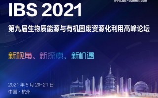 探索lbchs广告联盟，揭秘高效广告投放的奥秘
