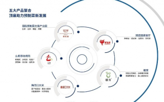 第一联盟，重塑全球科技生态的先锋力量