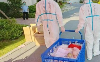 先锋广告联盟，重塑数字营销新生态