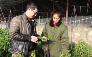 站长学院，打造个人品牌，引领数字时代内容创业新风尚