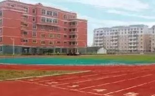 177广告联盟，打造高效广告投放，助力企业精准营销