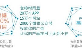 老榕树广告联盟，携手共赢，共创数字营销新篇章