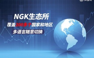 阳光SP平台，重塑数字教育新生态的先锋力量