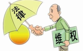 胜诉联盟，法律维权的新篇章
