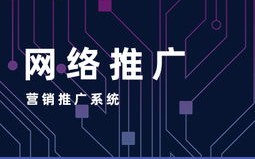 网络推广与网络广告的区别，深度解析与策略应用