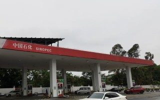 中国第一站长联盟，构建互联网内容生态的领航者