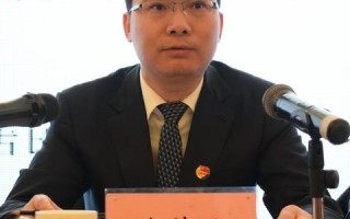 高价日结算联盟，重塑电商支付格局的新篇章