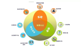 探索版主联盟，构建网络社区的基石与力量