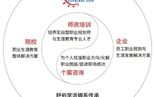 精准领域，解锁个人与职业发展的新钥匙