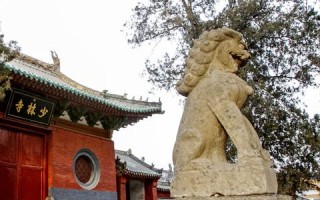 知天下导航联盟，重塑数字时代下的信息导航新生态