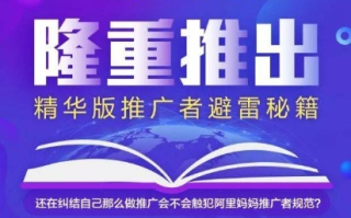 怎样加入淘宝联盟，全面指南与实战策略