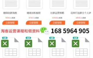 淘宝联盟淘宝客，社群营销与自动化推广的实战指南