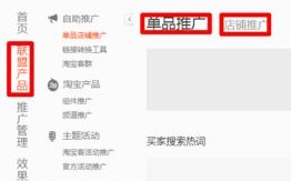 阿里妈妈淘宝联盟佣金提现后多久能到账？详解流程与注意事项