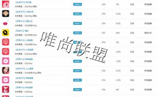 日付广告联盟与联合传媒广告联盟，信誉与效果并重的选择