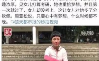 揭秘X档案CPA联盟，会计行业的隐秘力量与合规挑战