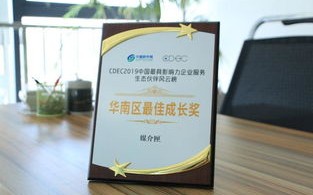 自由广告联盟，重塑数字营销生态，赋能中小企业创新成长