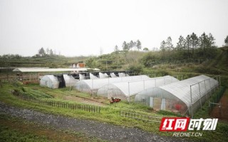 两个牛联盟，重塑农业合作新生态