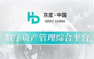 11991联盟，重塑数字时代的合作与共赢