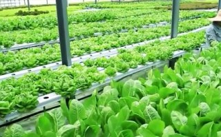 大河广告联盟，携手共赢，共创数字营销新篇章