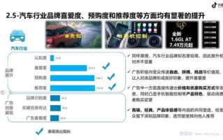 椰子广告联盟，打造数字营销新生态，引领品牌新风尚