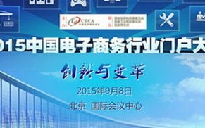 辛巴网盟，重塑电商生态，引领数字营销新纪元