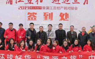 黑马广告联盟，探索其背后的真相与优势