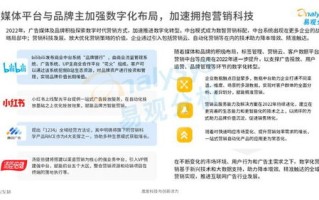 PEE广告联盟，重塑数字营销新生态的领航者