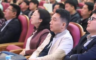 飞马广告联盟，重塑数字营销新生态的先锋力量