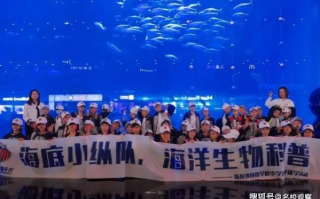 飞海联盟，探索海洋新纪元，共筑蓝色梦想