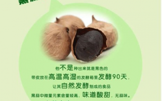 黑蒜网盟，引领健康新风尚，探索黑蒜的神奇魅力