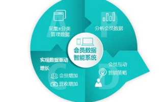 七鱼数据，解锁企业数据驱动增长的新密码