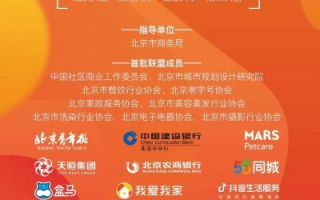探索版主联盟，构建网络社区的基石与力量