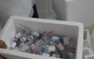 5466统一联盟，重塑数字时代合作与共赢的新篇章