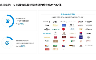 345ad广告联盟，重塑数字营销新生态的领航者