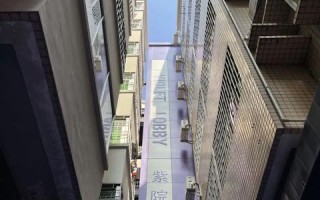 柠盟，以智慧与创意，共筑绿色未来