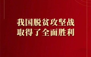 彩云联盟，编织数字时代的教育新篇章