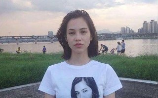 日本广告联盟，重塑数字营销生态的幕后推手