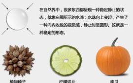 蜗牛健康，探索自然疗法与身心平衡的奥秘